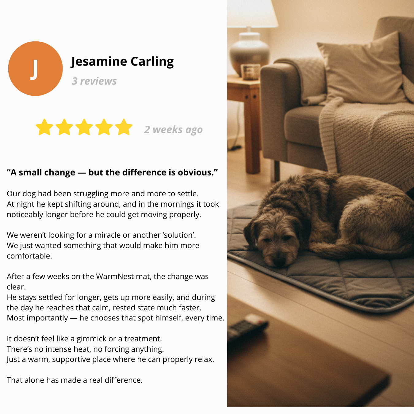 STOP LOSING COMFORT — HELP YOUR DOG SETTLE AGAIN