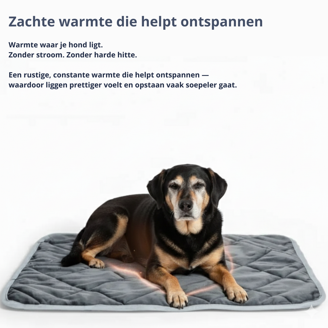 Voor honden die wat trager zijn geworden — en graag warm en rustig liggen