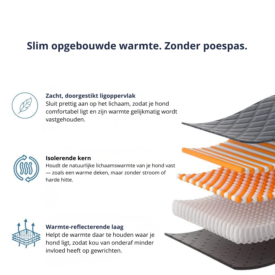 Voor honden die wat trager zijn geworden — en graag warm en rustig liggen