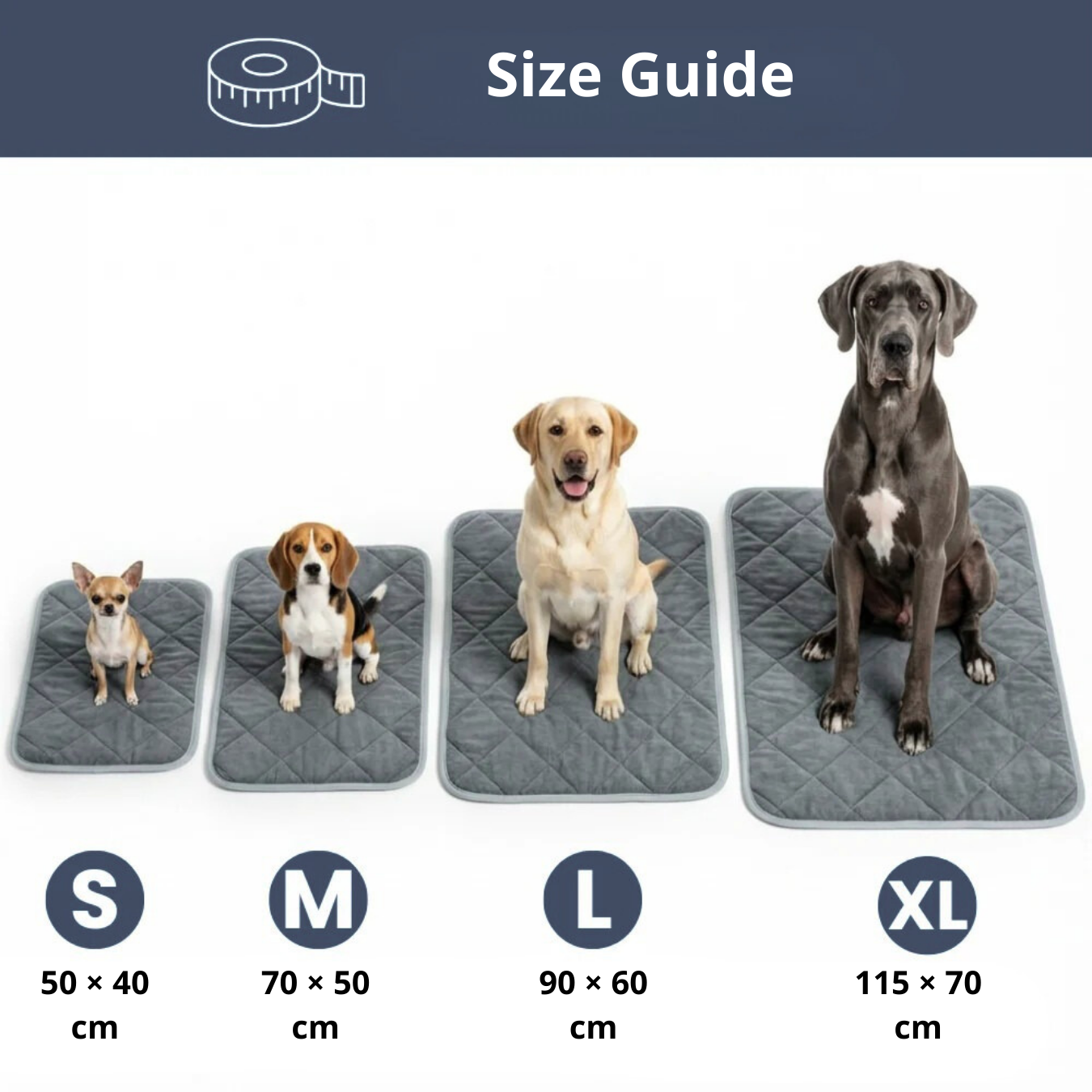 STOP LOSING COMFORT — HELP YOUR DOG SETTLE AGAIN